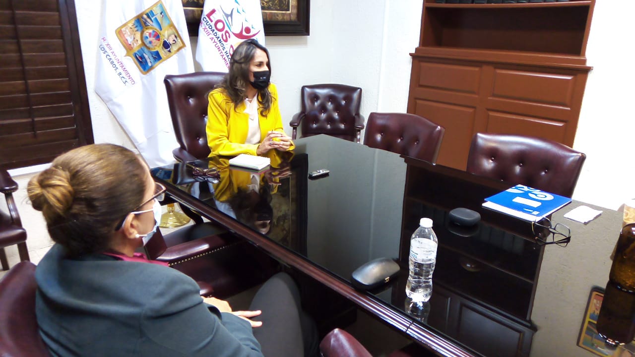 Presentan propuesta para optimizar servicios en línea y trámites en Los Cabos