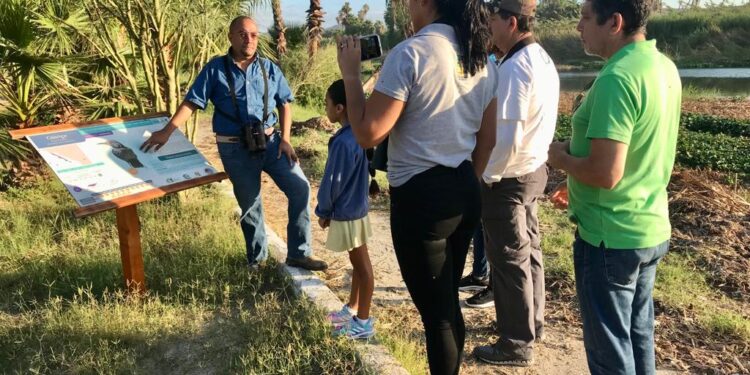 Con recorrido y avistamiento por Estero Josefino, el Gobierno de Los Cabos celebra el Día Internacional de las Aves Migratorias