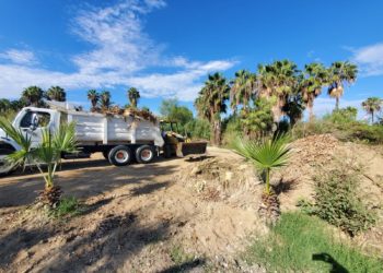 Continúa Ecología y Medio Ambiente realizando jornadas de limpieza en el Estero josefino