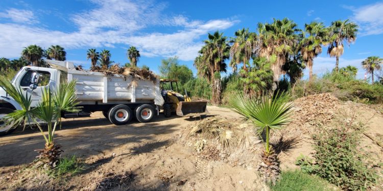 Continúa Ecología y Medio Ambiente realizando jornadas de limpieza en el Estero josefino