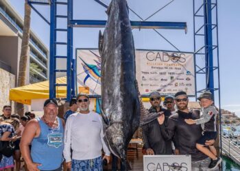 Grandes especímenes en el torneo de pesca “Los Cabos Billfish”