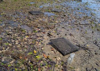 DAÑOS POR HURACÁN “KAY” EN SECTOR ACUÍCOLA DE COMONDÚ ASCIENDEN A MÁS DE 12 MDP