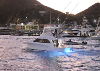 Todo un éxito el Torneo de Pesca Orsan 2022 en la bahía de CSL