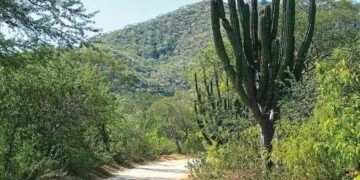 El Gobierno de México y la Secretaría de Turismo de México con el Gobierno del Estado de BCS a través de la Secretaría de Turismo y Economía