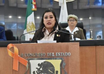 DIP GABRIELA CISNEROS RUIZ   COMISIÓN DE TRANSPARENCIA.