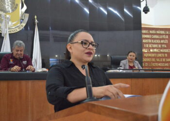 Propone la diputada Paz Ochoa aumentar penas y sanciones en el delito de robo