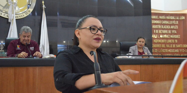 Propone la diputada Paz Ochoa aumentar penas y sanciones en el delito de robo