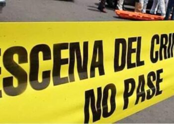 CONFIRMA PGJE HALLAZGO DE UN FETO EN SJC; UN PERRO LO TRAÍA EN EL HOCICO .=Tenía entre 7 u 8 meses de gestión