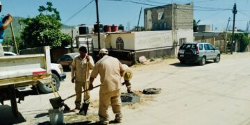 Para evitar robos y accidentes; Operación y Mantenimiento de Oomsapas Los Cabos instala brocales y tapas de alcantarillado de alto impacto