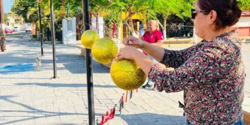 Todo listo para el encendido de árbol navideño en la delegación de Miraflores