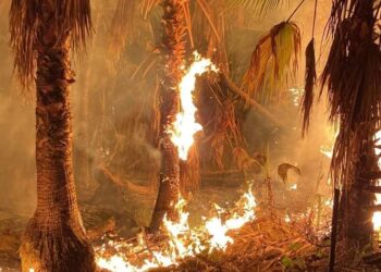 Servicio Social: #IncediodePalmar #TodosSantosBCS #periododecembrino #GuadalupeReyes2022 🚨 🚨 Sábado 24 de Diciembre del 2022 esta noche se reportó incendio 🔥 de palmar en la comunidad de Todos Santos, en este momento se trabaja para su atención, se recomienda precaución al transitar en carretera, así como alejarse de la zona ⚠ 🚨 evite accidentes #preveniresvivir #proteccioncivilsomostodos #AyudarParaAyudar #ABVVBCS