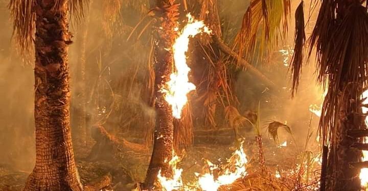 Servicio Social: #IncediodePalmar #TodosSantosBCS #periododecembrino #GuadalupeReyes2022 🚨 🚨 Sábado 24 de Diciembre del 2022 esta noche se reportó incendio 🔥 de palmar en la comunidad de Todos Santos, en este momento se trabaja para su atención, se recomienda precaución al transitar en carretera, así como alejarse de la zona ⚠ 🚨 evite accidentes #preveniresvivir #proteccioncivilsomostodos #AyudarParaAyudar #ABVVBCS