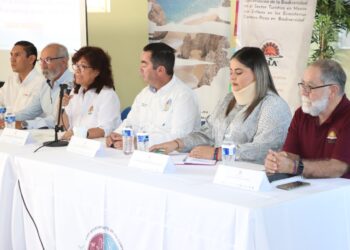Con el taller “Buenas prácticas de observación de ballenas” se fomenta el cuidado, conservación y protección de especies marinas