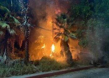 Servicio Social: #TodosSantosBCS #IncediodePalmar esta noche de Jueves 08 de Diciembre del 2022 se reporto un incendio  de  palmar en una zona de #TodosSantosBCS