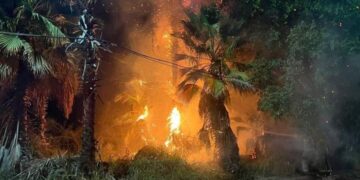 Servicio Social: #TodosSantosBCS #IncediodePalmar esta noche de Jueves 08 de Diciembre del 2022 se reporto un incendio  de  palmar en una zona de #TodosSantosBCS