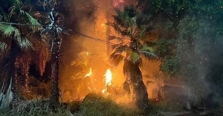 Servicio Social: #TodosSantosBCS #IncediodePalmar esta noche de Jueves 08 de Diciembre del 2022 se reporto un incendio  de  palmar en una zona de #TodosSantosBCS
