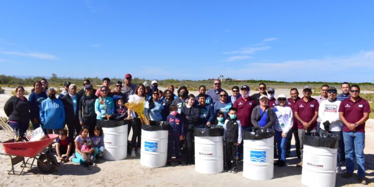 Participa FONMAR en jornada de limpieza de manglares en La Paz• Se realizaron tareas de recolección de residuos, poda de pinos salados y levantamiento de heces en una superficie de poco más de 5 hectáreas