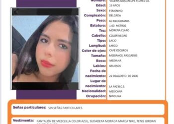 En la #PGJEBCS necesitamos de tu apoyo para localizar a la menor Valeria Guadalupe.
