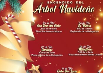 Atención familias de Los Cabos! El Sistema DIF te invita a los encendidos de Árbol Navideño 2022•