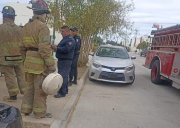 Reporte de explosión de una minita de gas en las calles Lentisco y Vinoramas en la colonia los Álamos, un pequeño jugaba fútbol en el patio de su casa y al patear el balón este golpeó con la minita de gas ocasionando que se desconectara de la manguera lo que causó una fuga de gas, personal de la policía municipal y del cuerpo de bomberos acudieron al lugar verificando que no hubiera nadie lesionado así mismo revisando que no se corriera algún tipo de peligro.