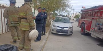 Reporte de explosión de una minita de gas en las calles Lentisco y Vinoramas en la colonia los Álamos, un pequeño jugaba fútbol en el patio de su casa y al patear el balón este golpeó con la minita de gas ocasionando que se desconectara de la manguera lo que causó una fuga de gas, personal de la policía municipal y del cuerpo de bomberos acudieron al lugar verificando que no hubiera nadie lesionado así mismo revisando que no se corriera algún tipo de peligro.