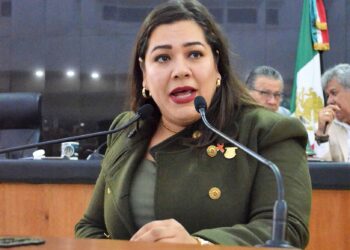 Rechazo total a la iniciativa de cobranza delegada: Gabriela Cisneros Ruiz