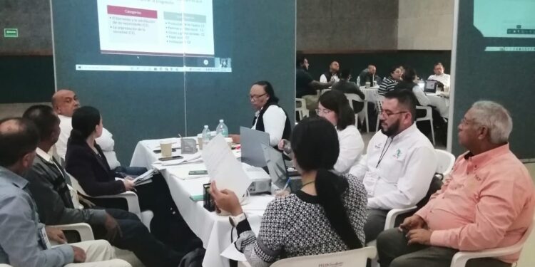 REALIZÓ SEP TALLER SOBRE MARCO CURRICULAR COMÚN PARA  EDUCACIÓN MEDIA SUPERIOR