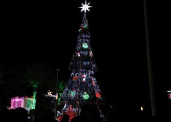ENCIENDEN LUCES NAVIDEÑAS EN PALACIO DE GOBIERNO