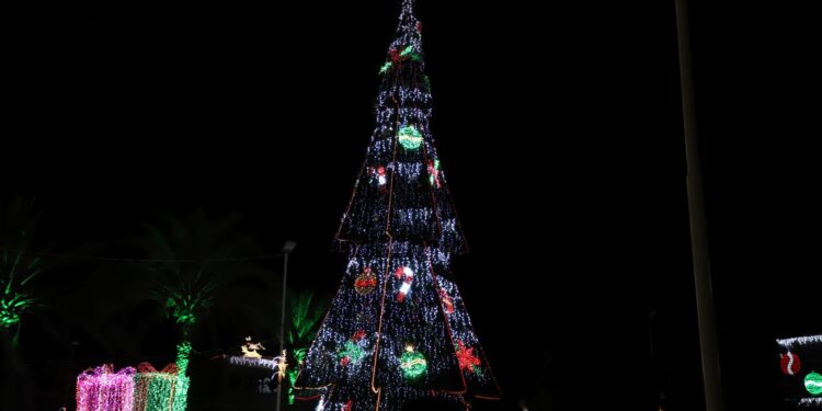 ENCIENDEN LUCES NAVIDEÑAS EN PALACIO DE GOBIERNO