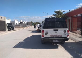 Durante el año la Policía Municipal de La Paz