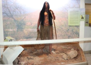 Visitar el Museo Natural de Historia en Cabo San Lucas representa una excelente opción para la convivencia familiar