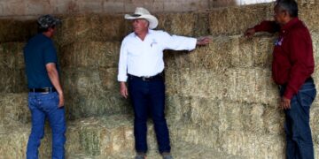 ORGANIZACIÓN Y JUSTICIA SOCIAL, BASE DE LA TRANSFORMACIÓN DE SECTORES PRODUCTIVOS