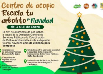 Evitemos contaminar con el árbol de navidad; hay 5 centros de acopio en Los Cabos
