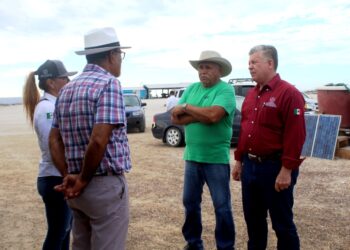 127.5 MILLONES DE PESOS EN FINANCIAMIENTO A LOS SECTORES PRIMARIOS DE BCS: SEPADA