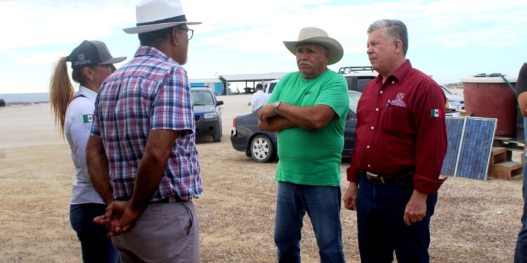 127.5 MILLONES DE PESOS EN FINANCIAMIENTO A LOS SECTORES PRIMARIOS DE BCS: SEPADA