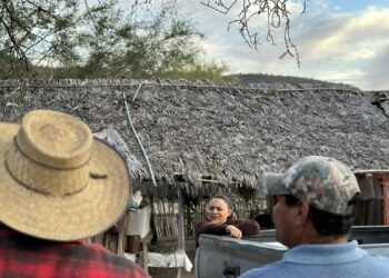 Urge diputada Paz Ochoa a autoridades reparación de caminos del sur de Loreto