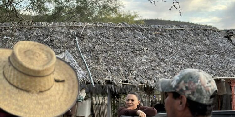 Urge diputada Paz Ochoa a autoridades reparación de caminos del sur de Loreto