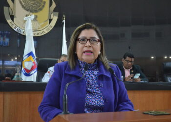 Que la Alianza Estatal para Erradicar la Violencia Contra las Mujeres atienda realmente a la ola de violencia: diputada María Luisa Ojeda
