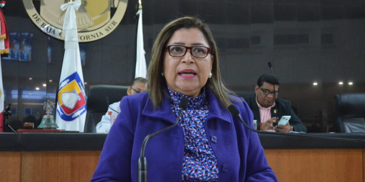 Que la Alianza Estatal para Erradicar la Violencia Contra las Mujeres atienda realmente a la ola de violencia: diputada María Luisa Ojeda