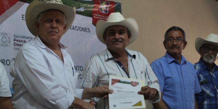 21.5 MDP EN APOYO AL SECTOR AGROPECUARIO    EN EL PRIMER AÑO DE GOBIERNO: JABB