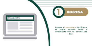 Pone a disposición Seguro Social BCS Buzón IMSS herramienta ágil y sencilla al alcance de patrones