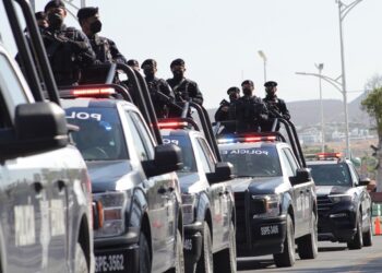 RESULTADOS DE OPERATIVOS DE LA PEP DURANTE EL 2022