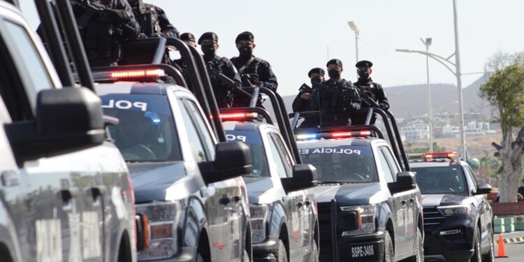 RESULTADOS DE OPERATIVOS DE LA PEP DURANTE EL 2022