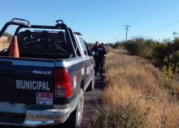 Se durmió al volante y salió del camino; metió su vehículo al monte