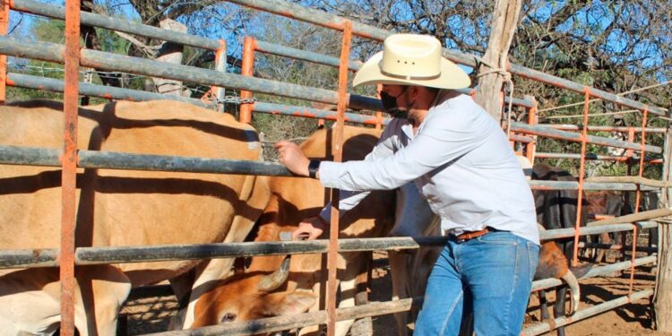 LLAMA SEPADA A PRODUCTORES PECUARIOS A FORTALECER EL BUEN MANEJO DEL HATO GANADERO