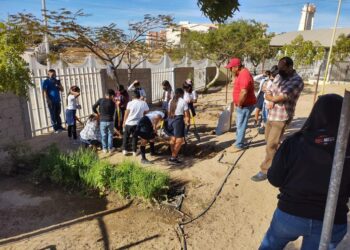 DIVULGACIÓN AMBIENTAL A MÁS DE 600 ESTUDIANTES DE EDUCACIÓN BÁSICA EN BCS