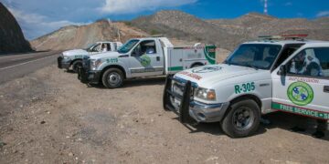 Recomiendan Ángeles Verdes de BCS prevención a quienes retornan de sus vacaciones por vía carretera