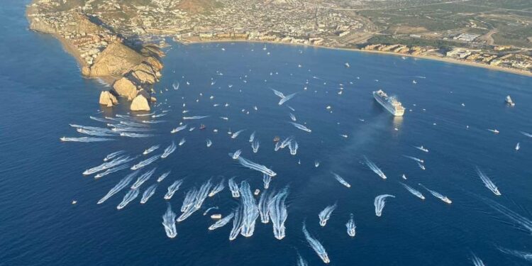 Rompe récords FONMAR por 73 MDPP en recaudación de permisos de pesca deportiva durante el 2022