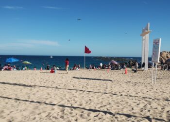 Por una cultura de prevención, exhorta Zofemat Los Cabos a estar alerta con los semáforos de banderas en las playas