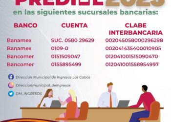 Más de 20 cajas recaudadoras están disponibles para el pago del predial; cumple y aprovecha los beneficios que otorga el Gobierno de Los Cabos